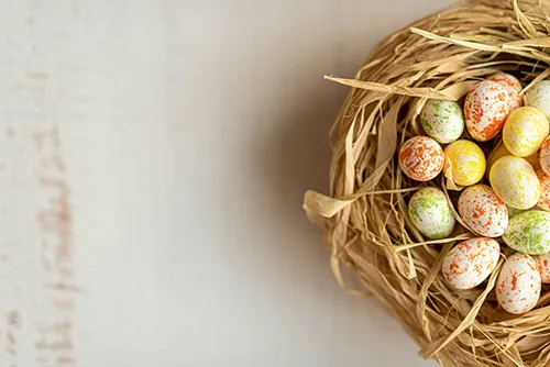 Nest mit bunten Ostereiern von oben.